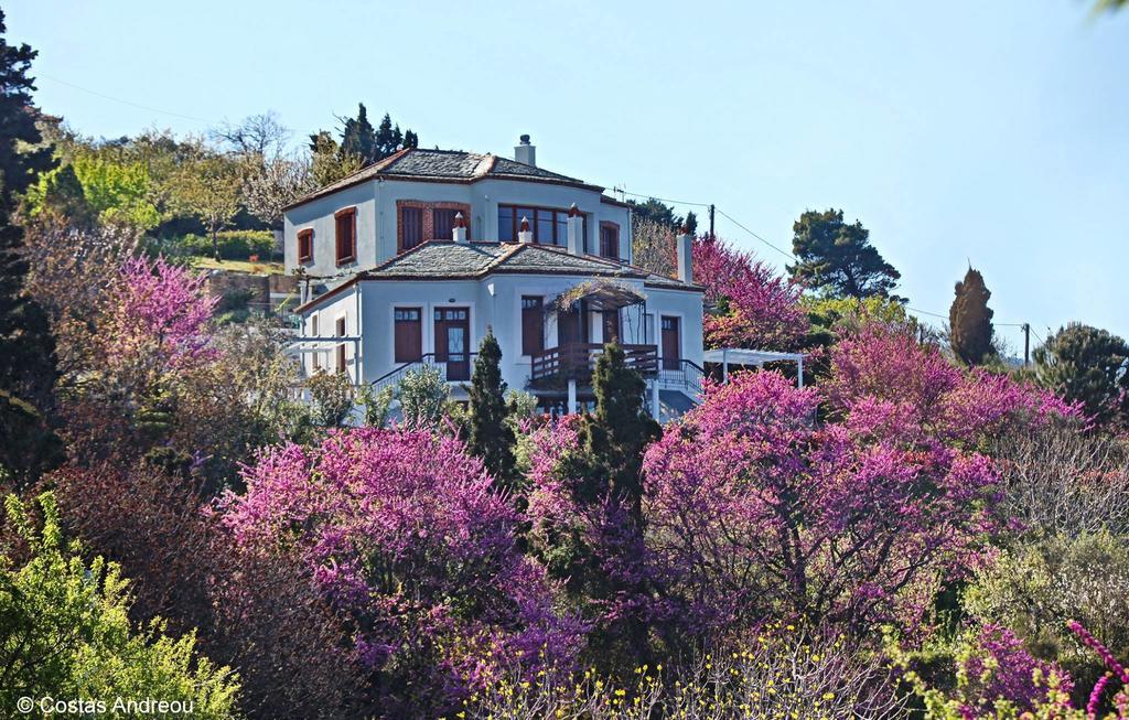 Stolios Daire Skopelos Dış mekan fotoğraf